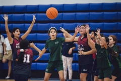 Girls-PSL-basketball-2
