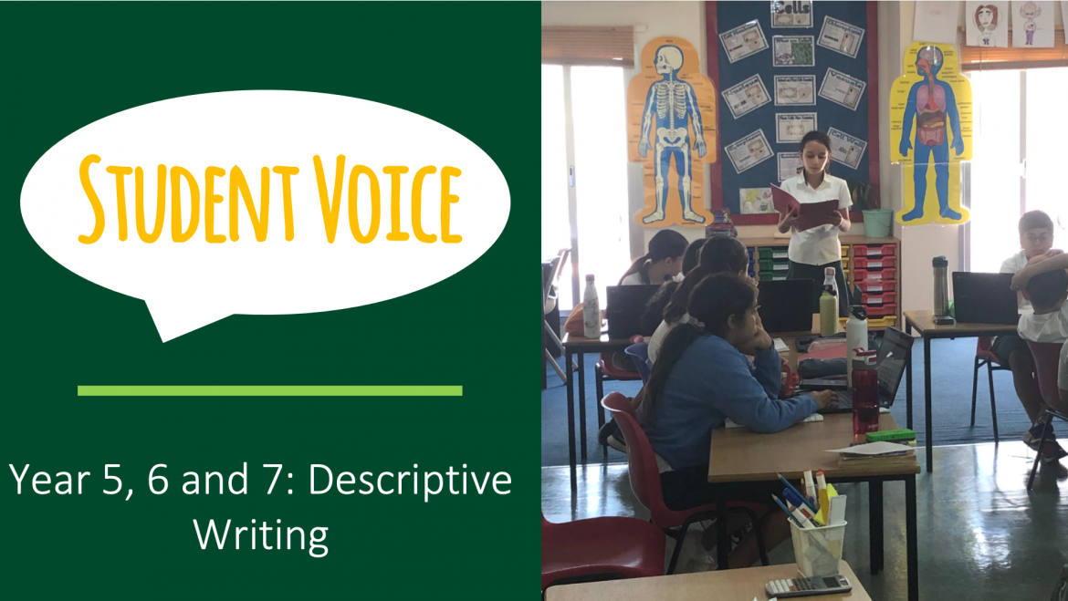 Student Voice – Year 7 Descriptive Writing