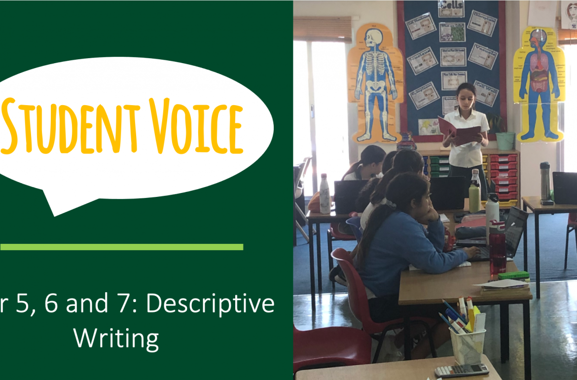 Student Voice – Year 7 Descriptive Writing