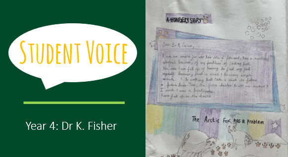 Student Voice – Year 4