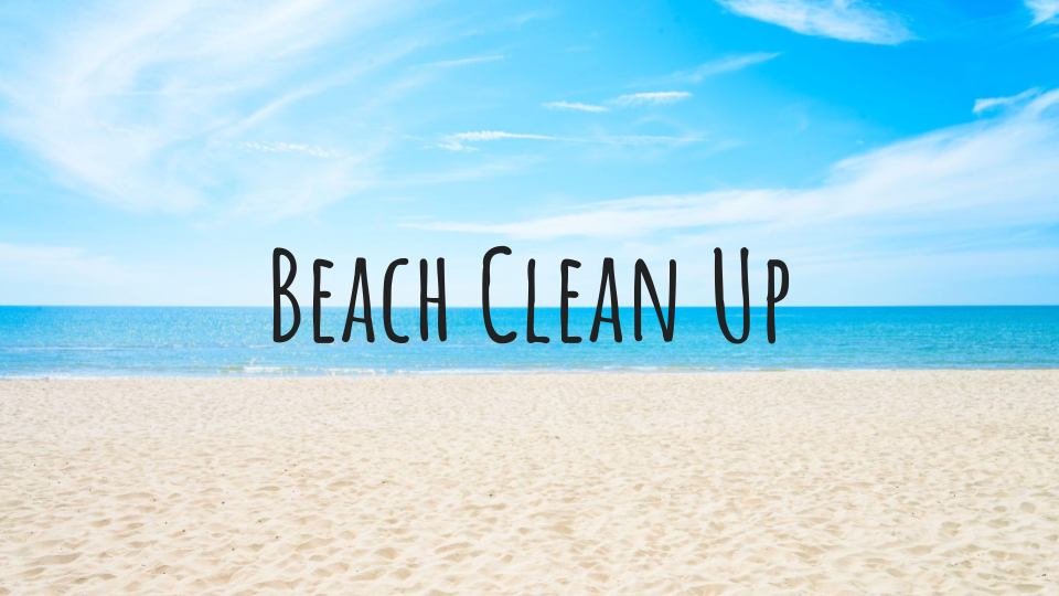 Beach-Clean.png